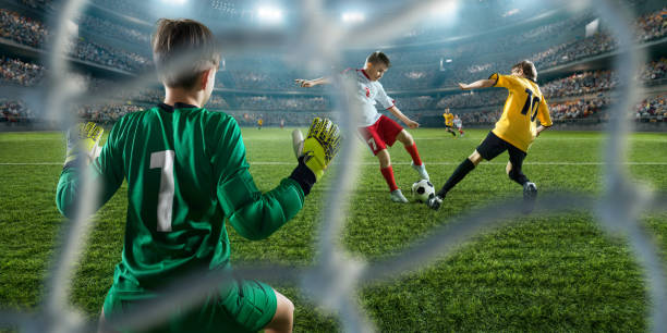 贡献力量 贡献力量